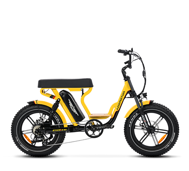 two rider electric bike: Soletan M-66X