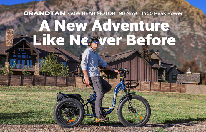 fat tire electric trike