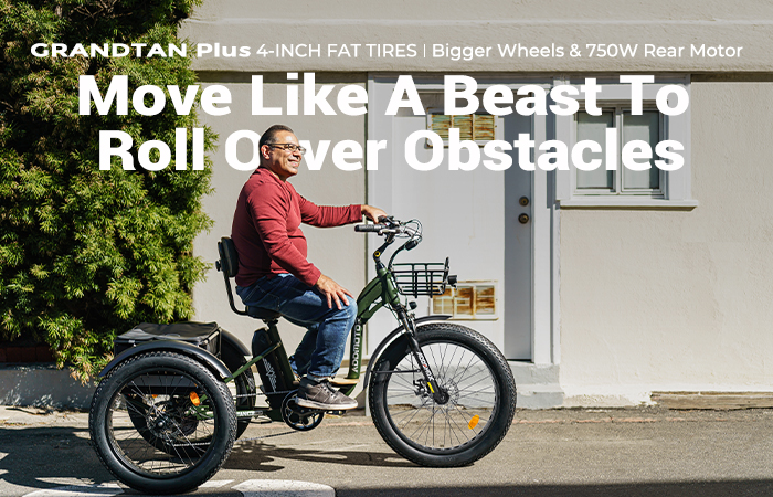 big wheel electric trike