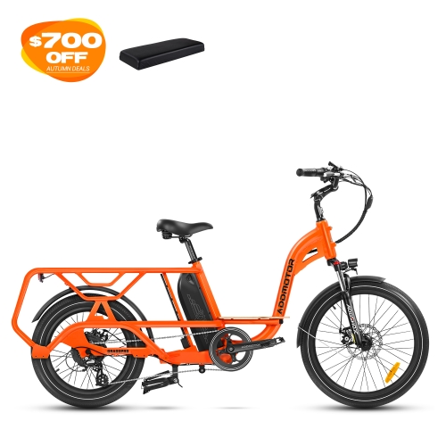 Graoopro Cargo eBike