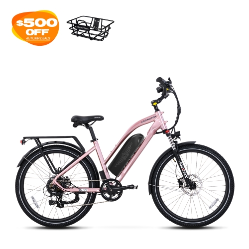 Citypro E-43 eBike