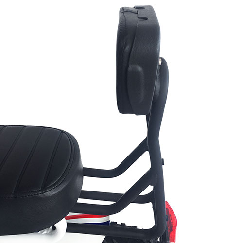 Solid and Comfortable Addmotor Ebike Backrest