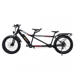 MOTAN M-250 750 Watt Electric Tandem Bicycle Built for Two