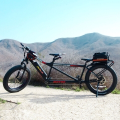 MOTAN M 250 750 Watt Electric Tandem Bicycle Built for Two