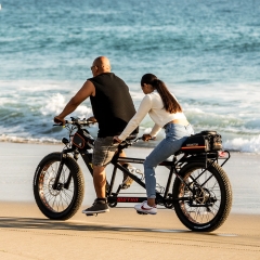MOTAN M-250 750 Watt Electric Tandem Bicycle Built for Two