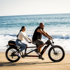 MOTAN M-250 750 Watt Electric Tandem Bicycle Built for Two