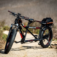 MOTAN M-250 750 Watt Electric Tandem Bicycle Built for Two