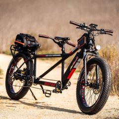 MOTAN M-250 750 Watt Electric Tandem Bicycle Built for Two