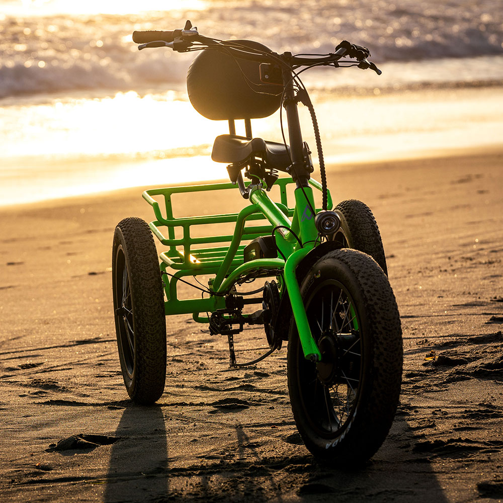 addmotor trike
