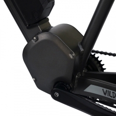 EXPIRED【Super Early Bird 52% OFF】Wildtan M-5600 1000W Mid-Drive Motor Hunting Electric Bike