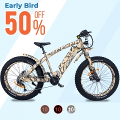  EBWildtan