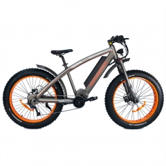 EXPIRED【August Special 40% OFF】Wildtan M-5600 1000W Mid-Drive Motor Hunting Electric Bike