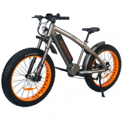 EXPIRED【August Special 40% OFF】Wildtan M-5600 1000W Mid-Drive Motor Hunting Electric Bike