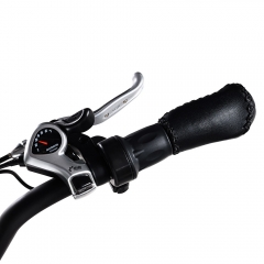 M-60 R7 Cruiser E-Bike