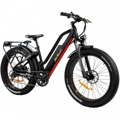 M-450 P7 Electric Bike