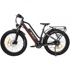 M-450 P7 Electric Bike