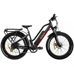 M-450 P7 Electric Bike