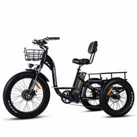 Addmotor motan electric tricycles, 48V 
