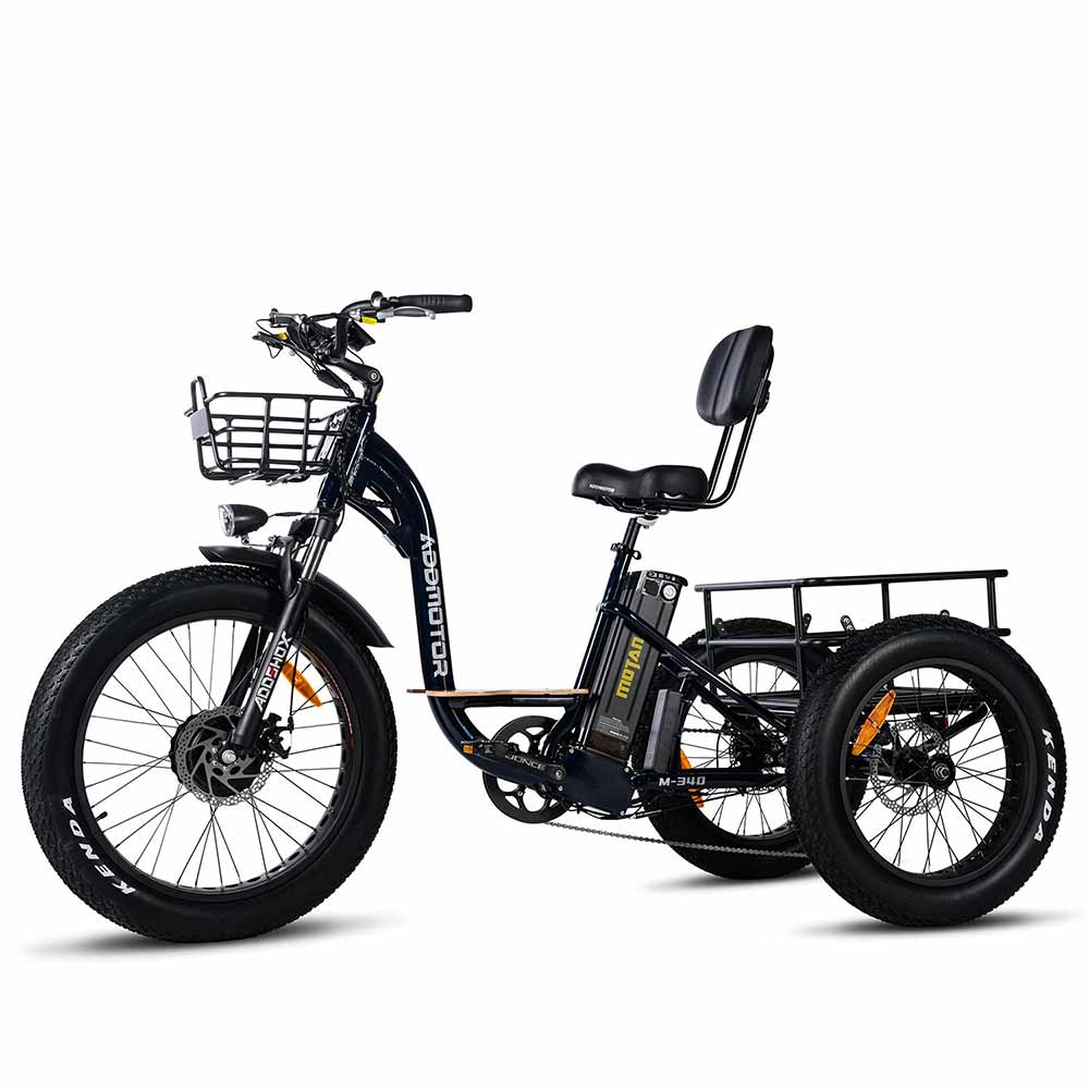 Popular Ebike Model