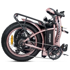 MOTAN M-140 P7 Folding Electric Bike - Rose Gold - Fodable