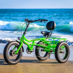 addmotor motan trike, super buy Save 79 