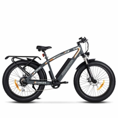 Addmotor M-560 Motan ebike all terrain