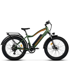 ADDMOTOR M-550 P7 Electric Bike Fat Tires