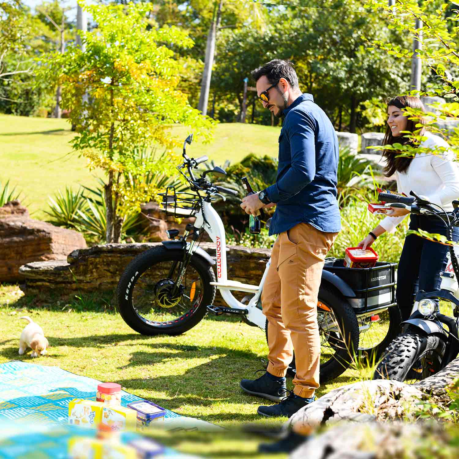 How Your Electric Trike Can Be a Life Changer