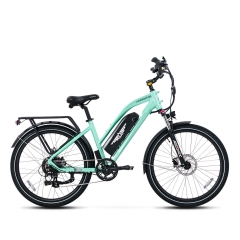  citypro