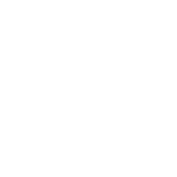SPYTAN Standard Rear Differential Icon