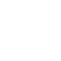 tire icon