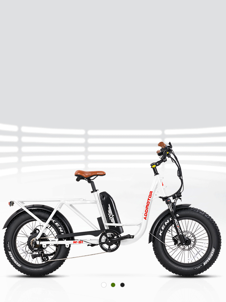 M81 Step Through Cargo Electric Bike