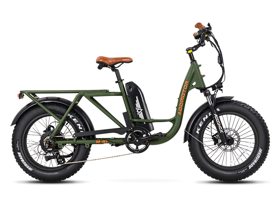 M81 StepThru Cargo Electric bike For Family And Delivery