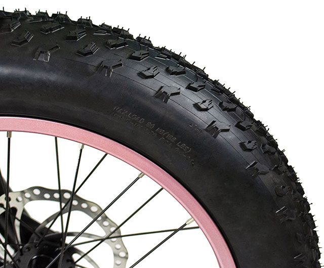 Puncture-Resistant Fat Tires