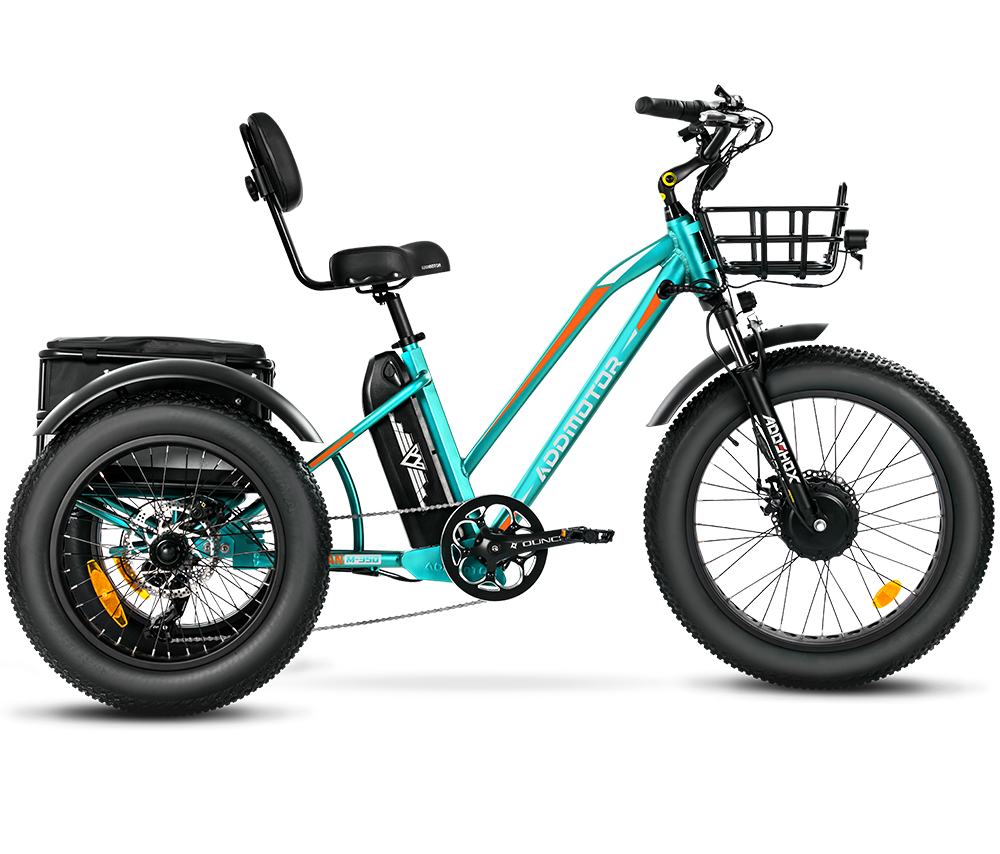 Triketan M350 Electric Tricycle 48V*20Ah Battery