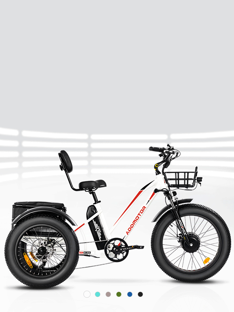 Triketan M350 Electric Tricycle 48V*20Ah Battery