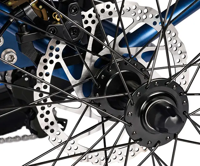 feature of dual rear brake rotors of triketan M-350 etrike