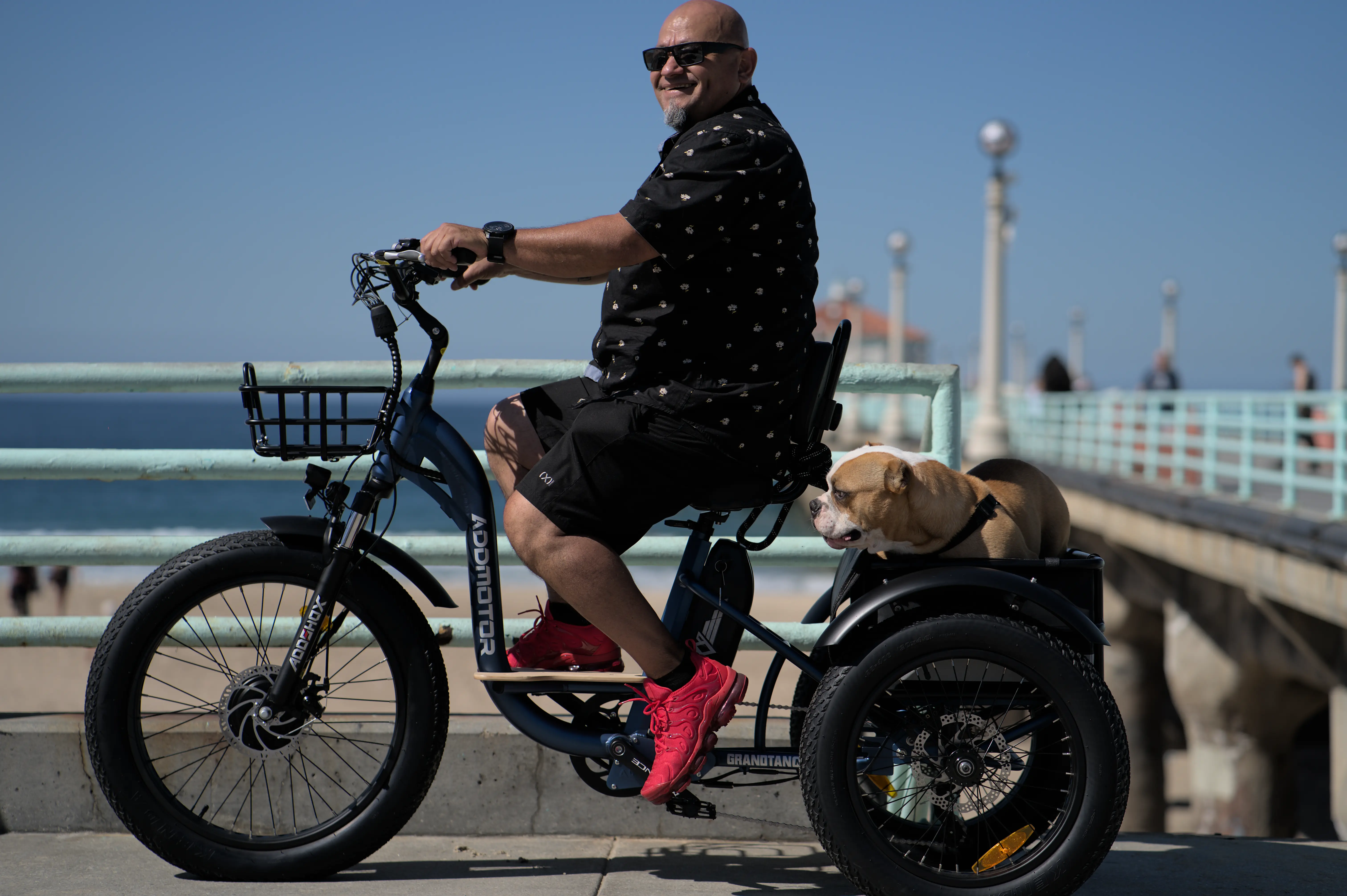 fat tire etrike sale