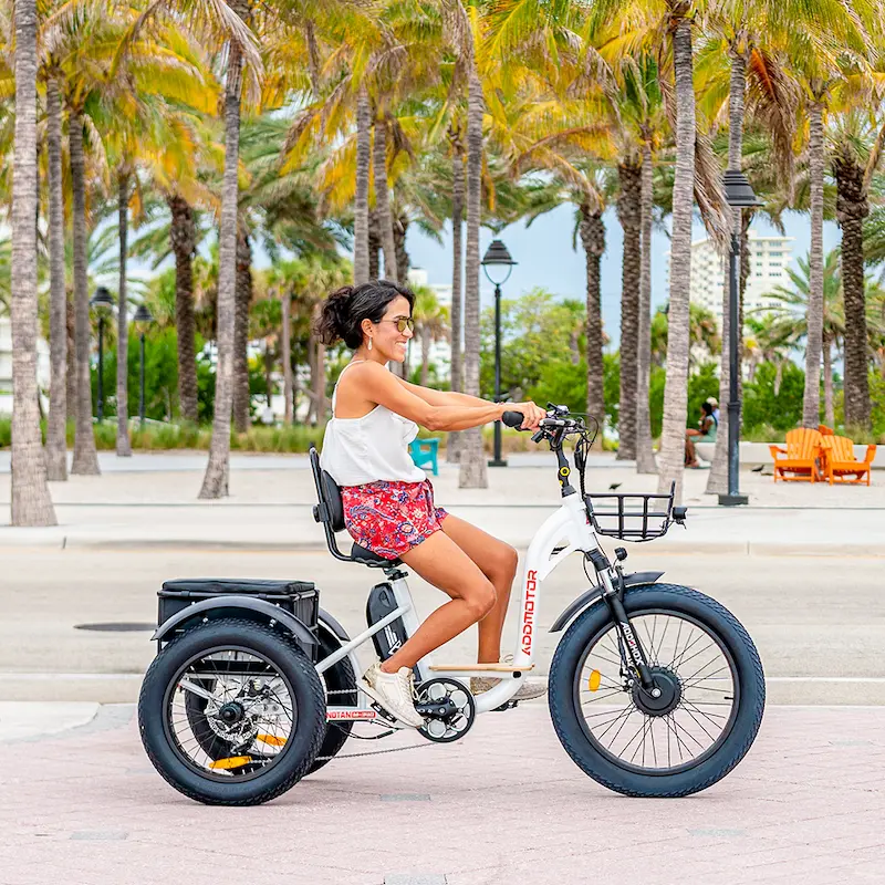 Tricycle for older adults clearance