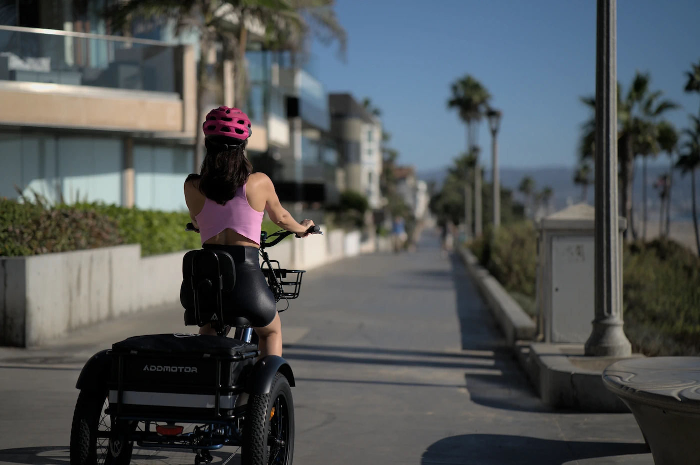 ebike with banana seat