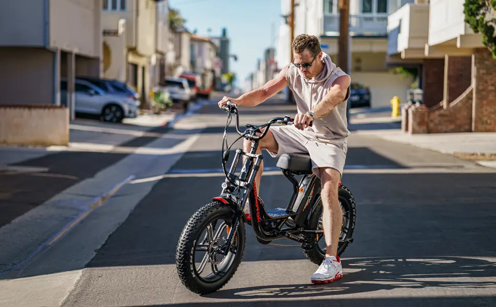M-66 Electric Bike with Long Range In Black