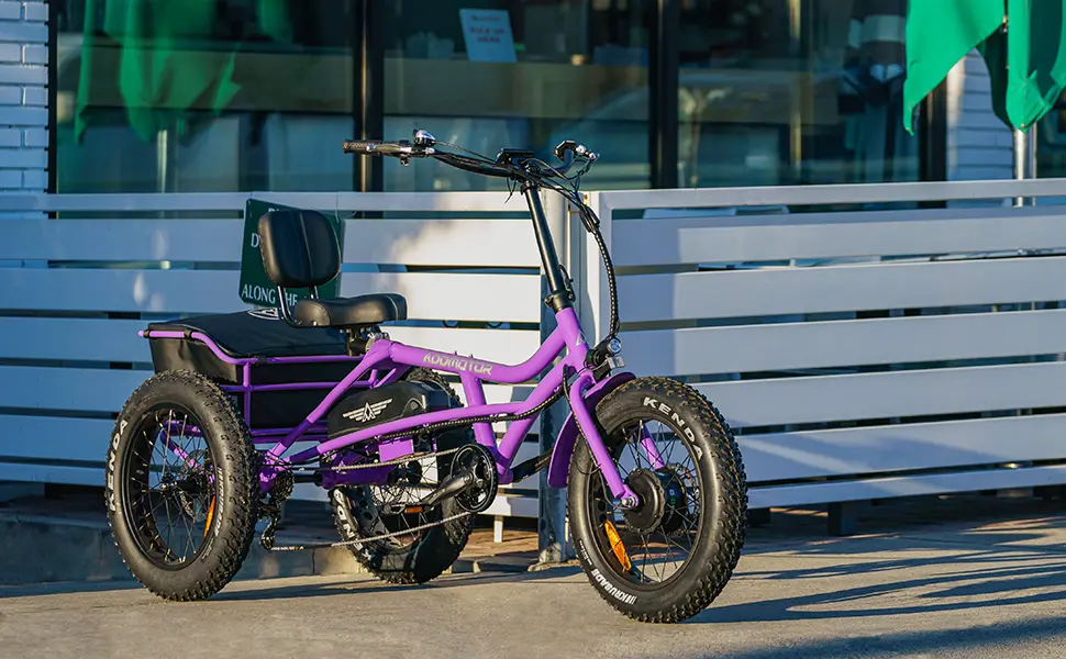 Semi-Recumbent Electric Trike M-360