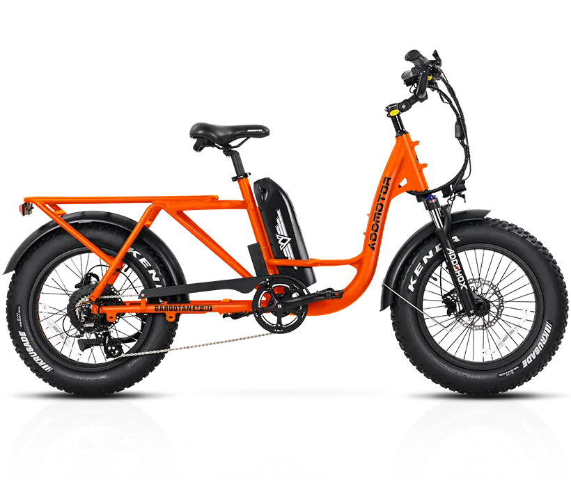 Step-thru Cargo Electric Bike