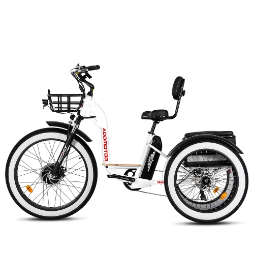 mid-drive electric bike