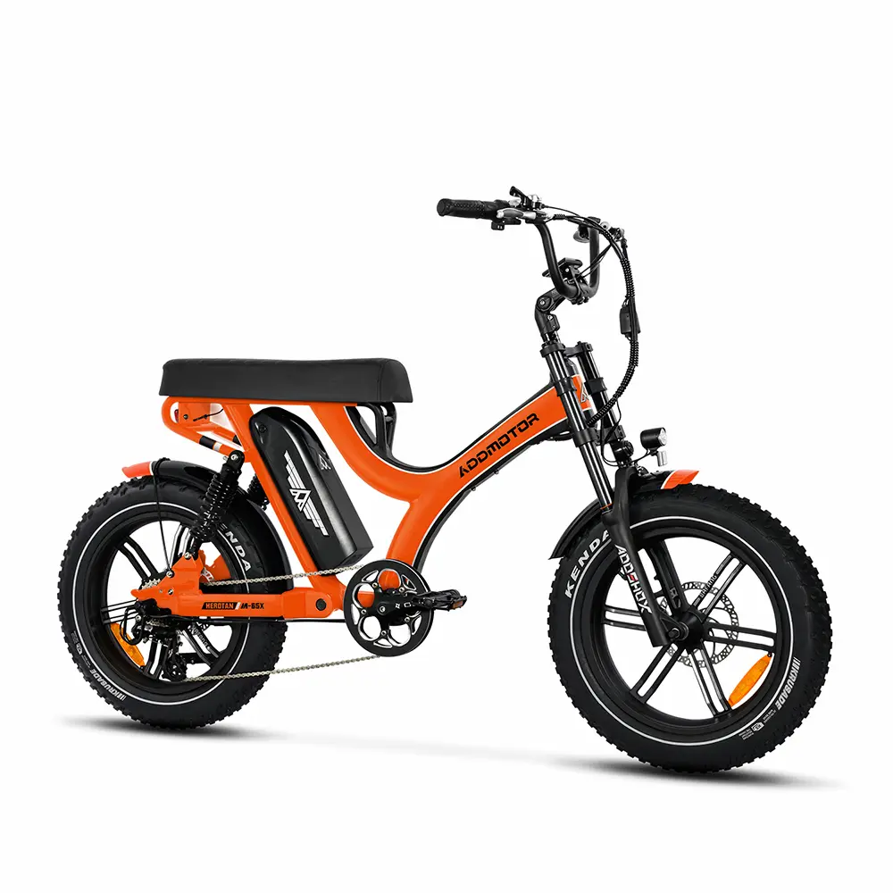 mid-drive electric bike