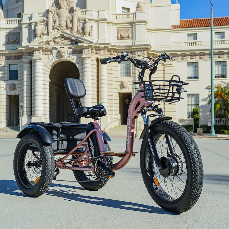 What Is The Best 3 Wheel Electric Bike For Adults 