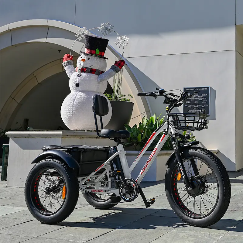 Triketan M-350 Electric Tricycle In White