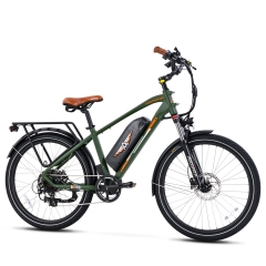 Commute Adult Ebike