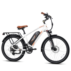 Commute Electric Bicycle