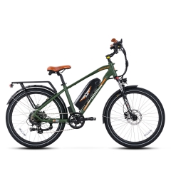 Commute Electric Bike